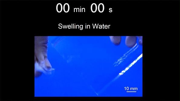 http://news.mit.edu/sites/mit.edu.newsoffice/files/images/jello-monitor.gif